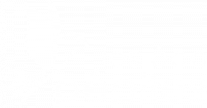 Logo blanc des Eco Pépites