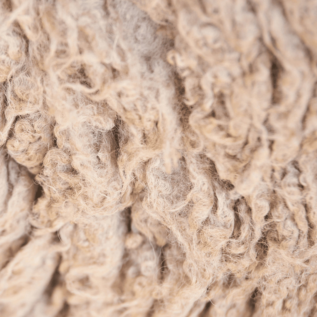 La laine bio est une matière naturelle éco-responsable utilisée dans la mode éthique.