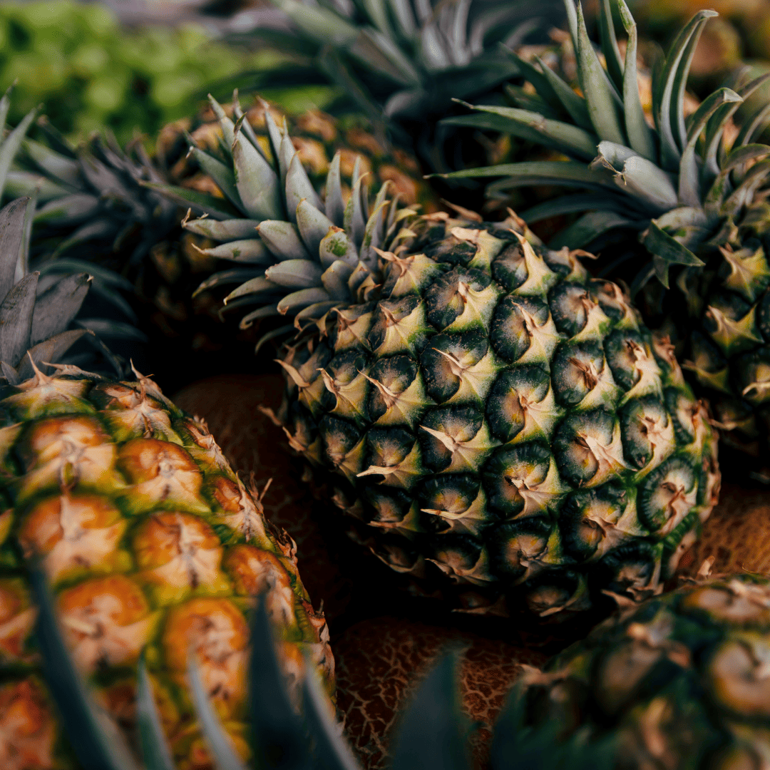 Le cuir d'ananas est une alternative au cuir animal et une matière éco-responsable innovante de mode éthique